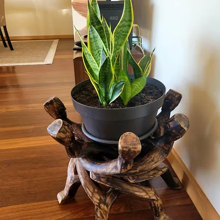 Casa Da * Vila Nova de Gaia