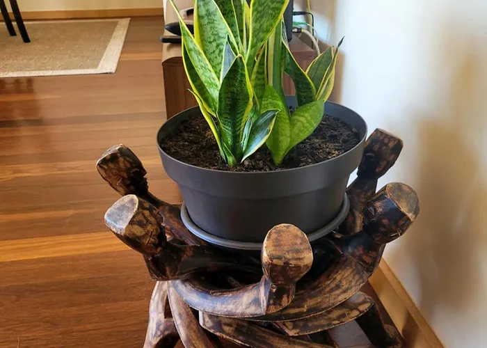 Casa Da * 加亚新城